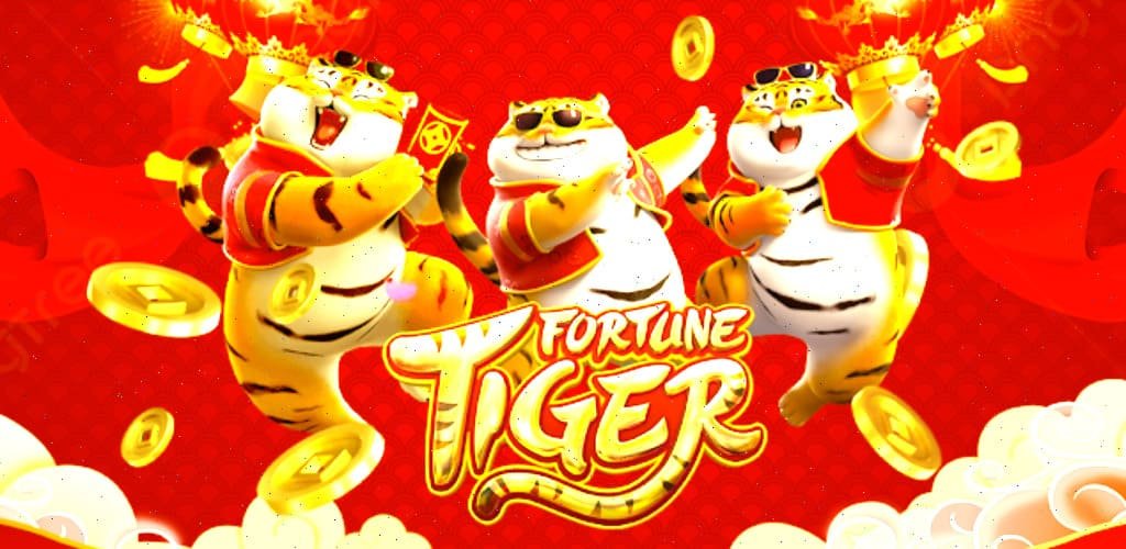 গোপনীয়তা ও দায়িত্বশীল গেমিং বিষয়ক bet 15 গাইড